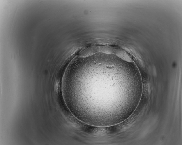 X0000098180123200805011045