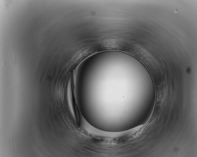 X0000098180124200805011045