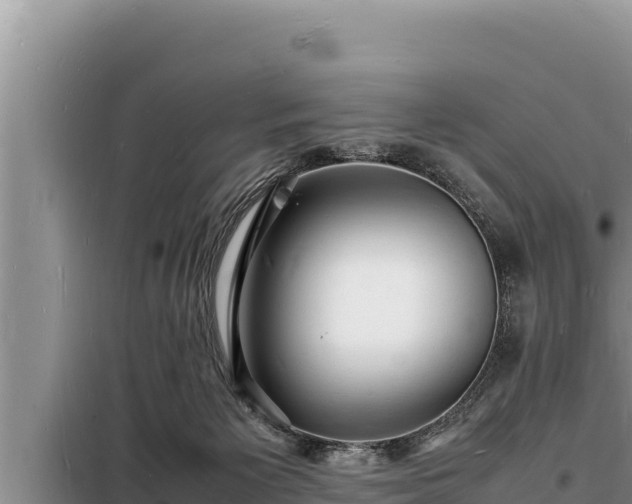 X0000098180125200805011045