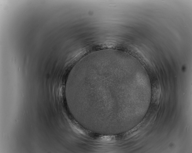 X0000098180126200805011045