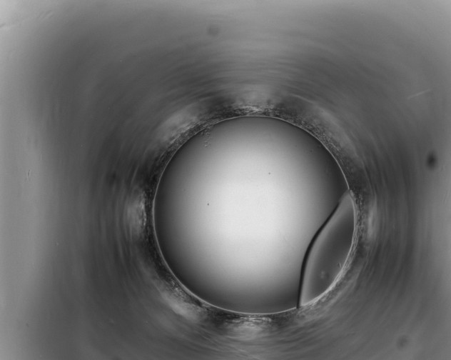 X0000098180128200805011045