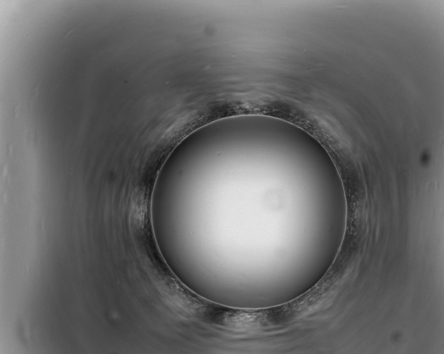 X0000098180129200805011045