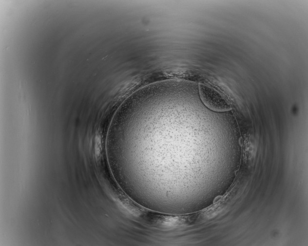 X0000098180130200805011045