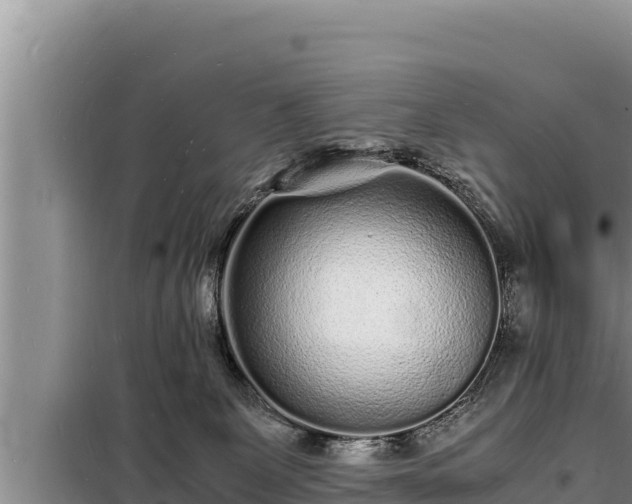 X0000098180131200805011045