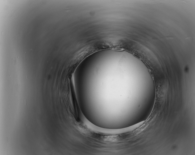 X0000098180132200805011045