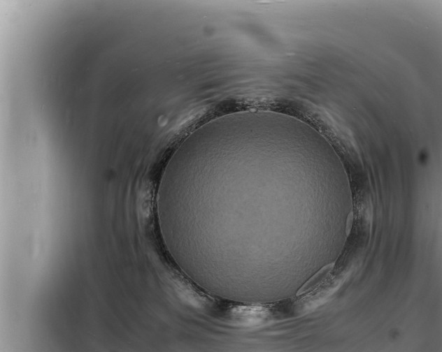 X0000098180133200805011045