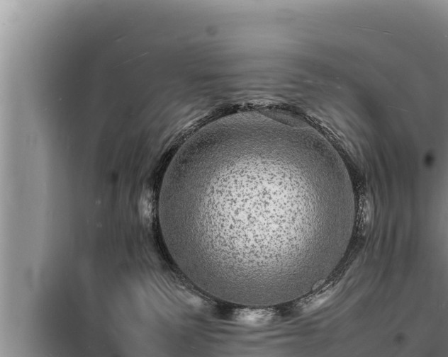 X0000098180135200805011045