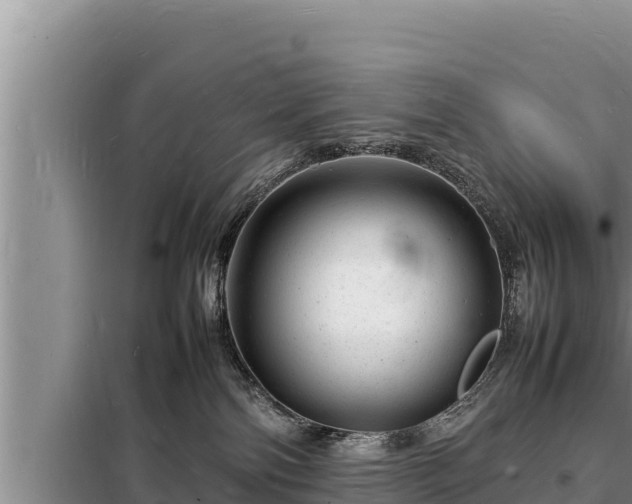 X0000098180138200805011045