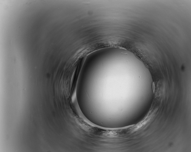 X0000098180140200805011044