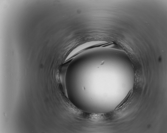 X0000098180141200805011044