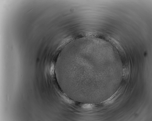 X0000098180142200805011044