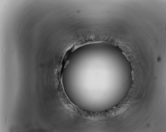 X0000098180144200805011044