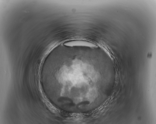 X0000098180145200805011044