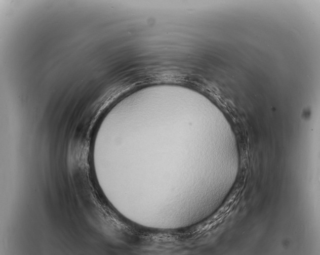 X0000098180146200805011044