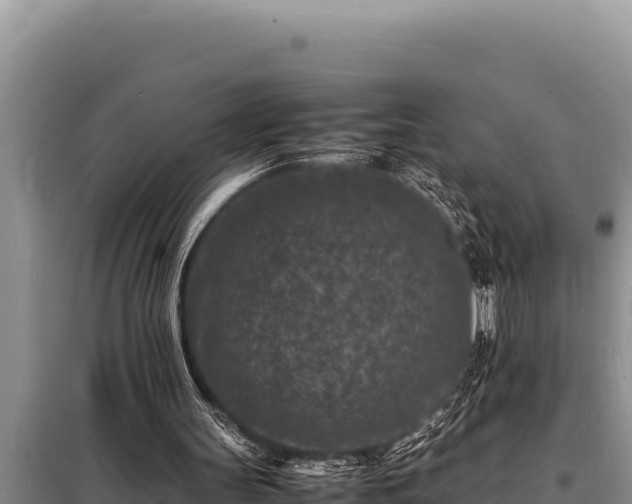 X0000098180147200805011044