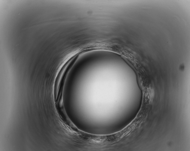 X0000098180148200805011044