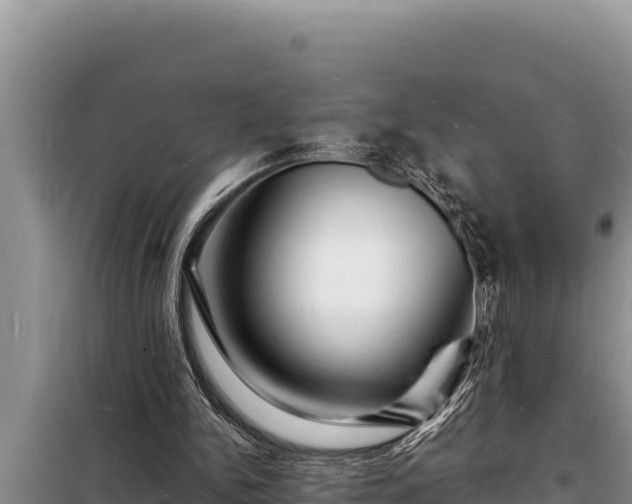 X0000098180150200805011044