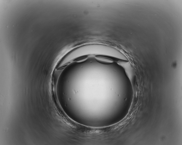 X0000098180152200805011044