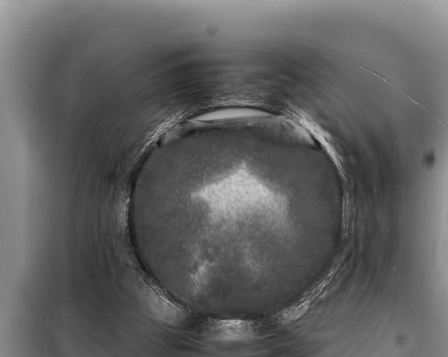 X0000098180153200805011044