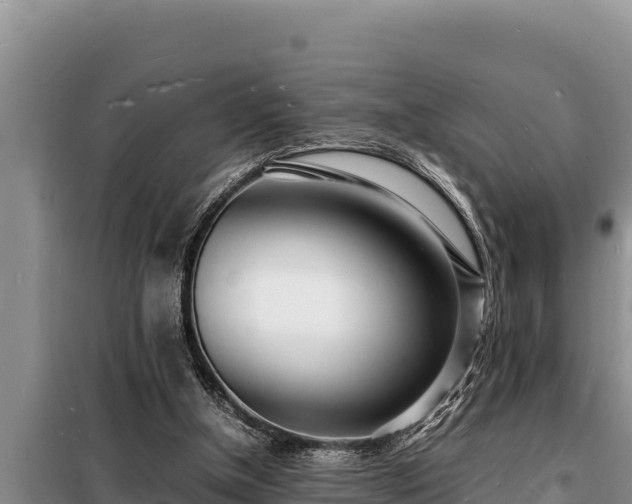 X0000098180154200805011044