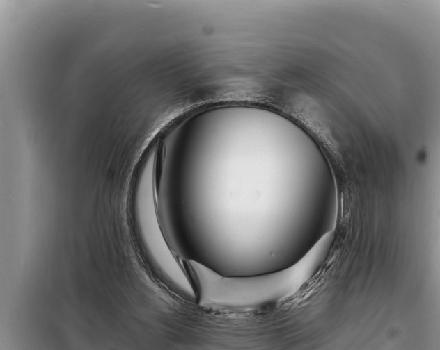 X0000098180156200805011044