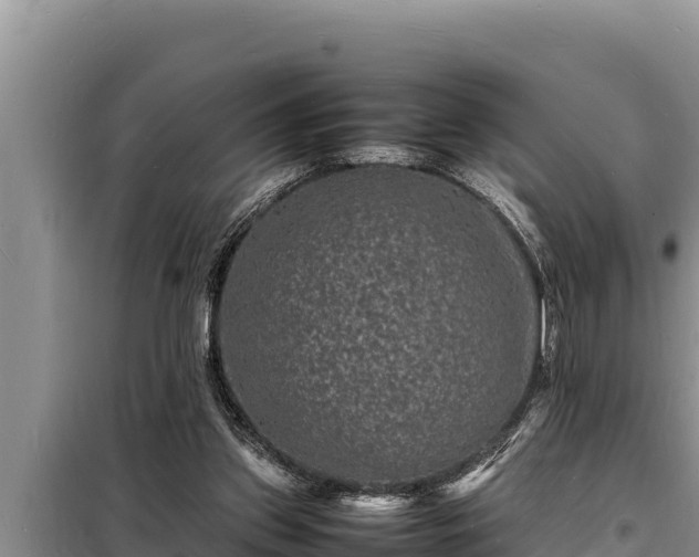 X0000098180157200805011044