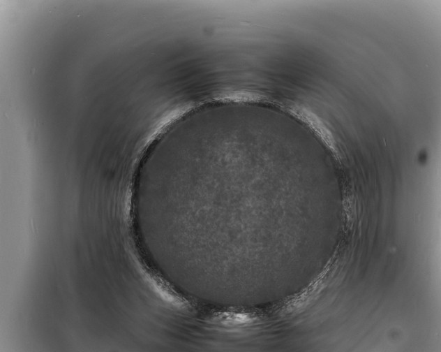 X0000098180159200805011044