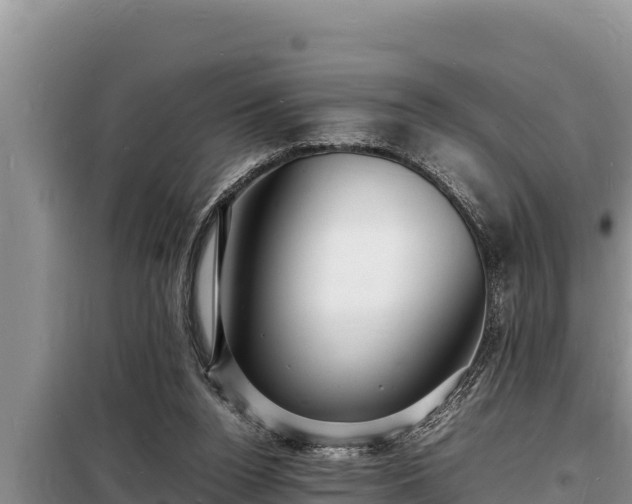 X0000098180160200805011044