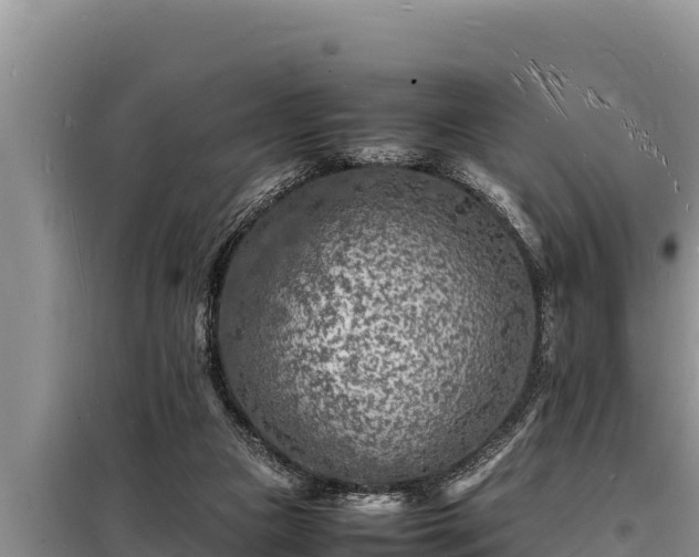 X0000098180161200805011044