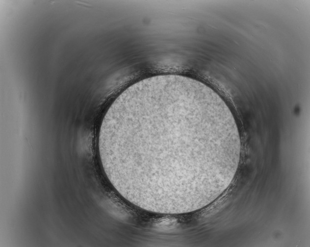 X0000098180162200805011044