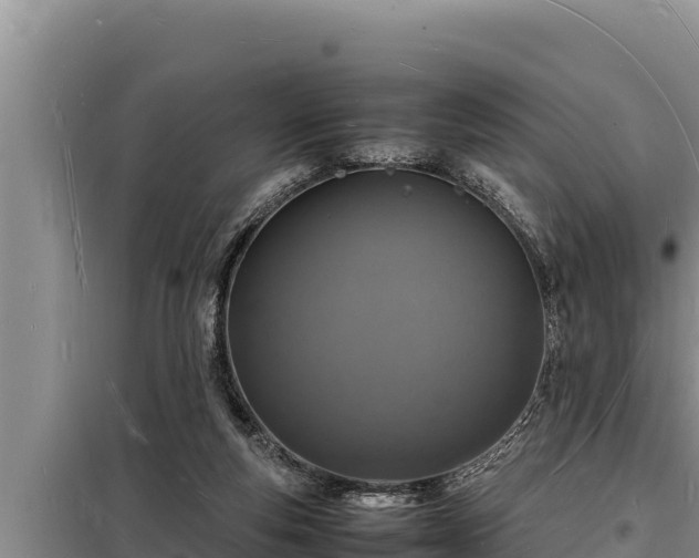 X0000098180163200805011044