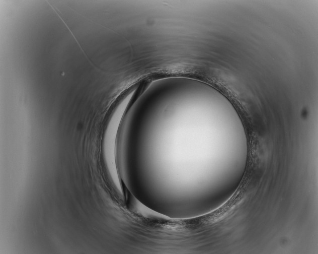 X0000098180164200805011044