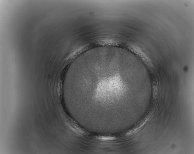 X0000098180165200805011044