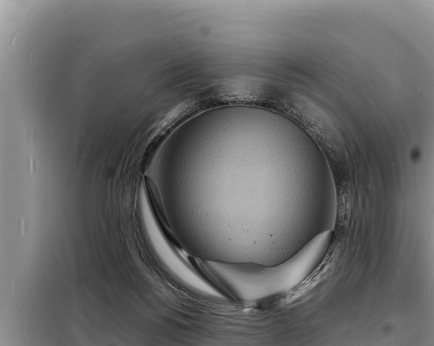 X0000098180168200805011044