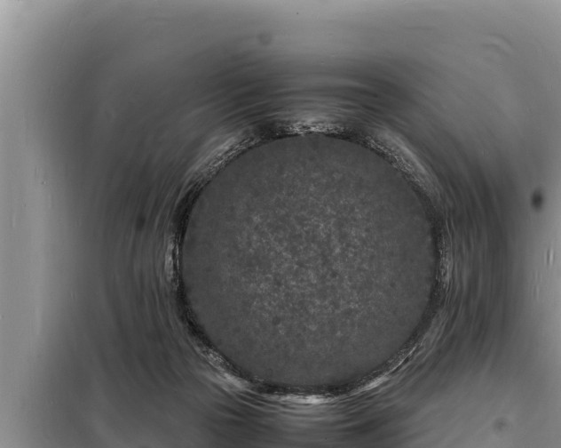 X0000098180169200805011044