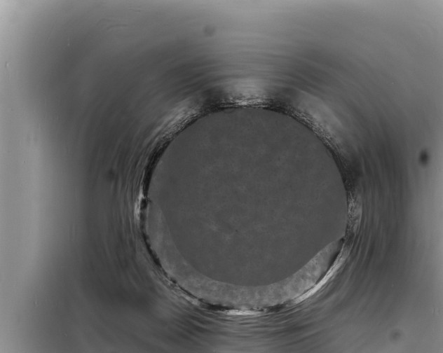 X0000098180170200805011044