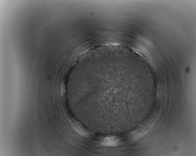 X0000098180173200805011044