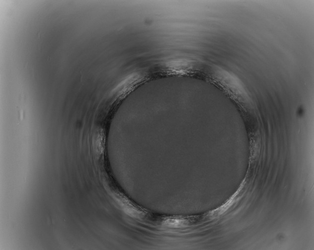 X0000098180174200805011044