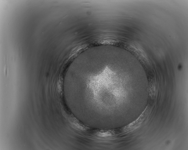 X0000098180175200805011044