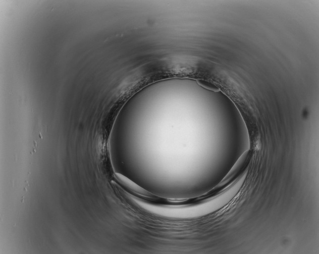 X0000098180176200805011044