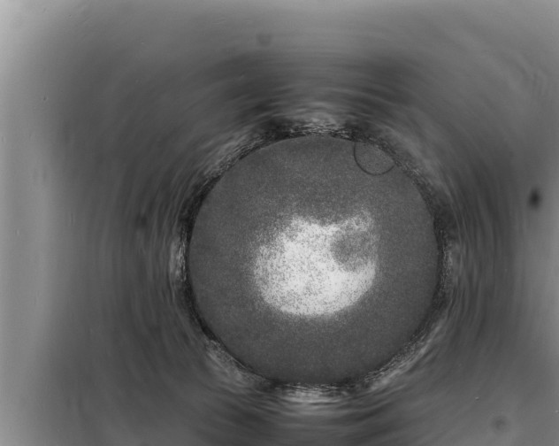 X0000098180177200805011044