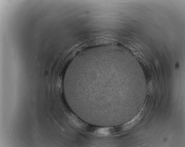 X0000098180178200805011044