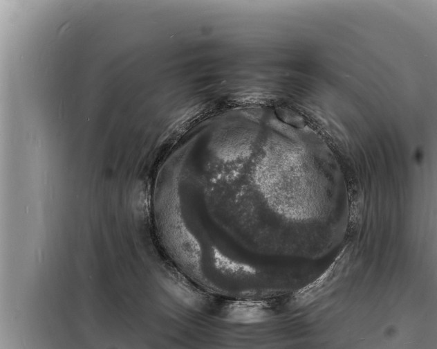 X0000098180179200805011044