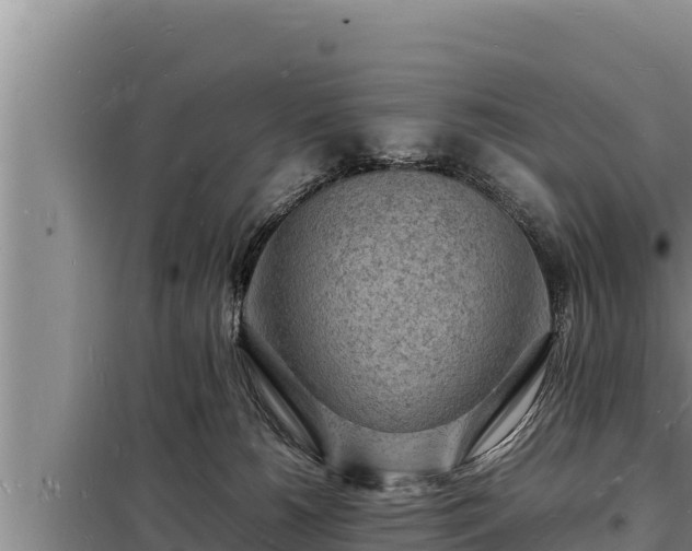 X0000098180180200805011044