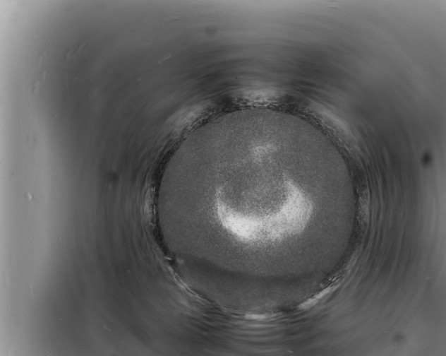 X0000098180181200805011044