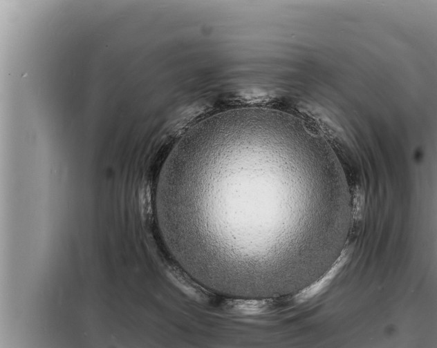 X0000098180182200805011044