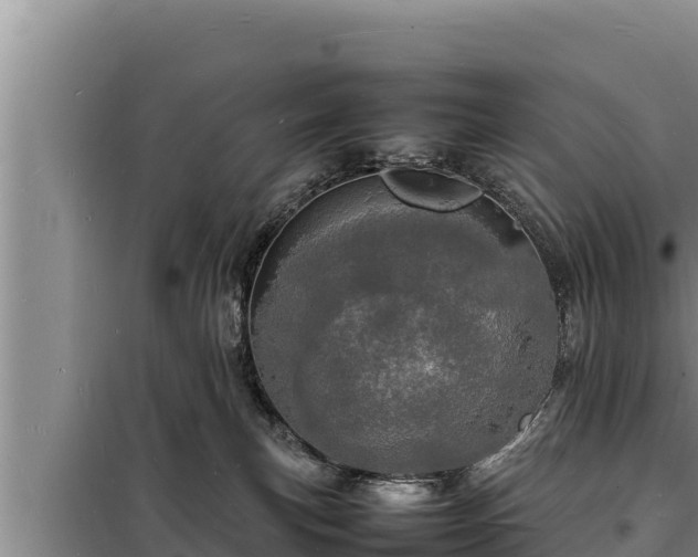 X0000098180183200805011044