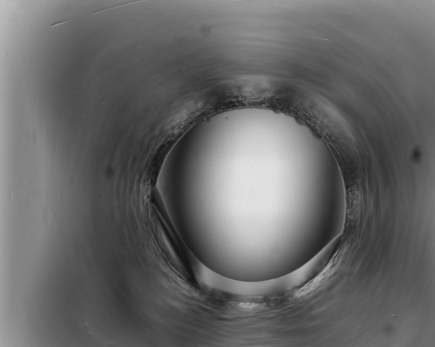 X0000098180184200805011044