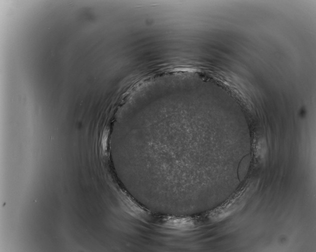 X0000098180185200805011044