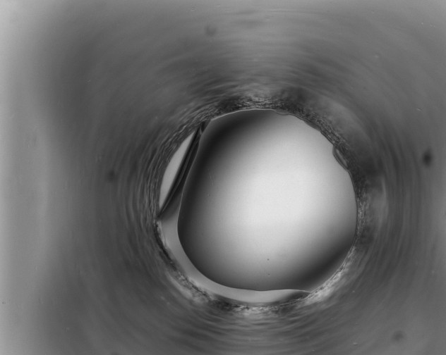 X0000098180186200805011044